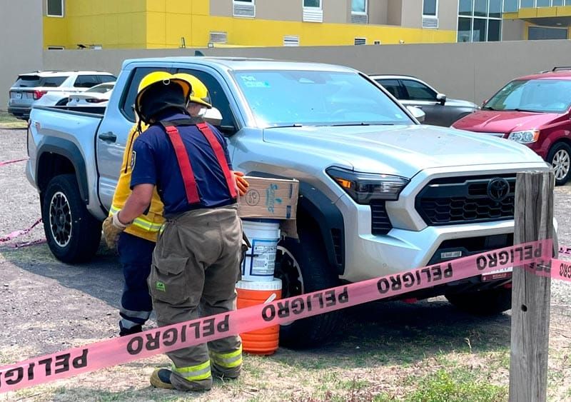 ¡ABEJAS PONEN PANAL EN CAMIONETA!
