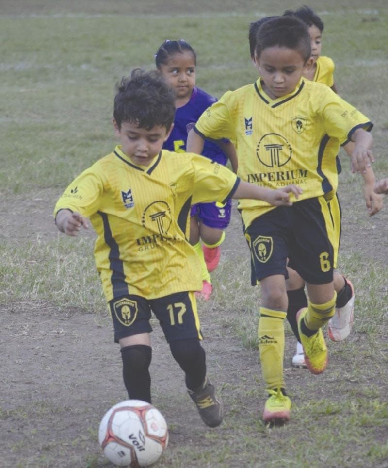 ¡SIEMBRA GUERREROS LA SEMILLA DE UNA FUTURA GENERACIÓN!