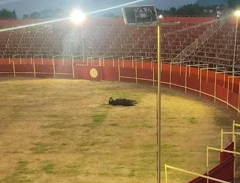 ¡MATAN TORO EN LAS PATRONALES! - EN ATZACAN