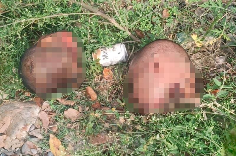 ¡ENCUENTRAN DOS CUERPOS DESCUARTIZADOS EN PAPANTLA!