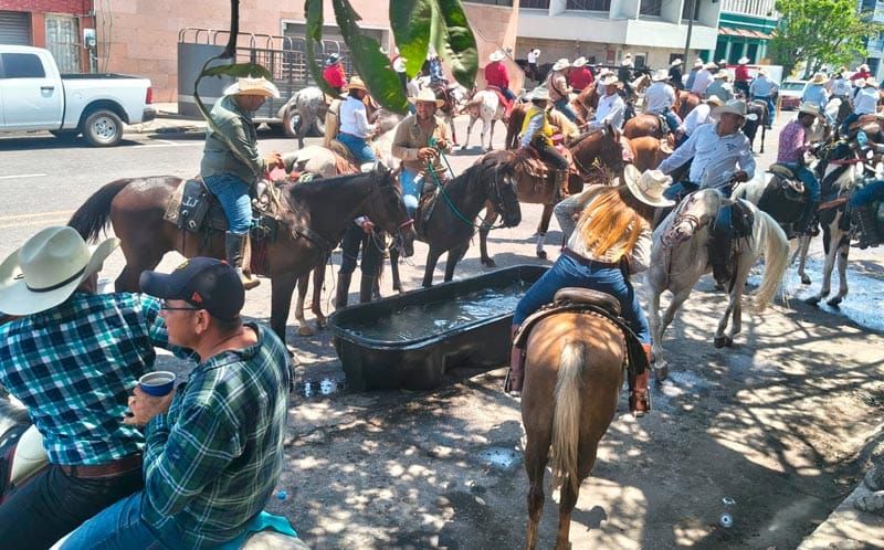 ¡HASTA AGÜITA LE DAN A LOS CABALLOS! - *Operativo de protección y limpieza
