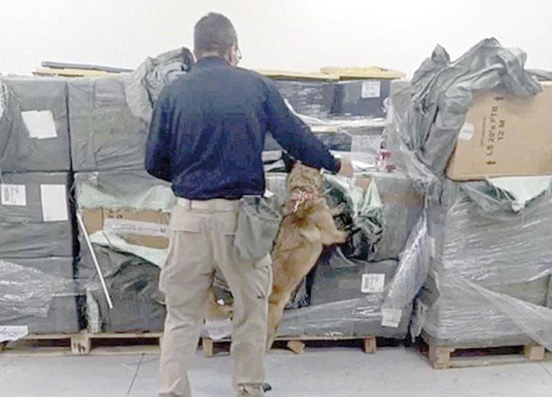 ¡DECOMISAN 1.8 MILLONES DE CIGARROS 'IRREGULARES' EN EL AEROPUERTO DE CDMX!