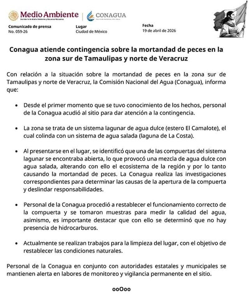 ¡FUE UNA COMPUERTA! - *La dejaron abierta