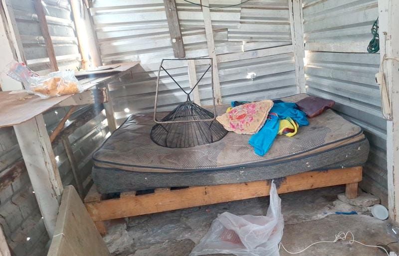 ¡SIGUEN LOS CATEOS!