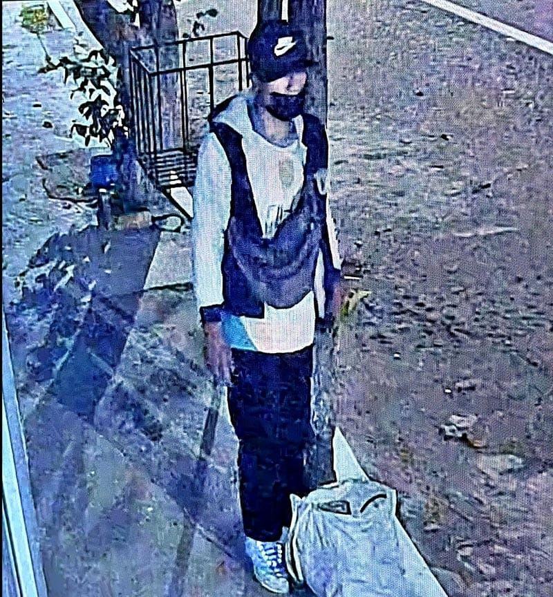 ¡“RATA DE DOS PATAS” ENTRA A ROBAR EN CASAS Y TIENDAS!