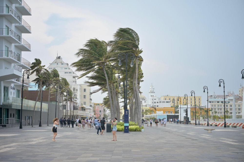 ¡ALERTA GRIS!
