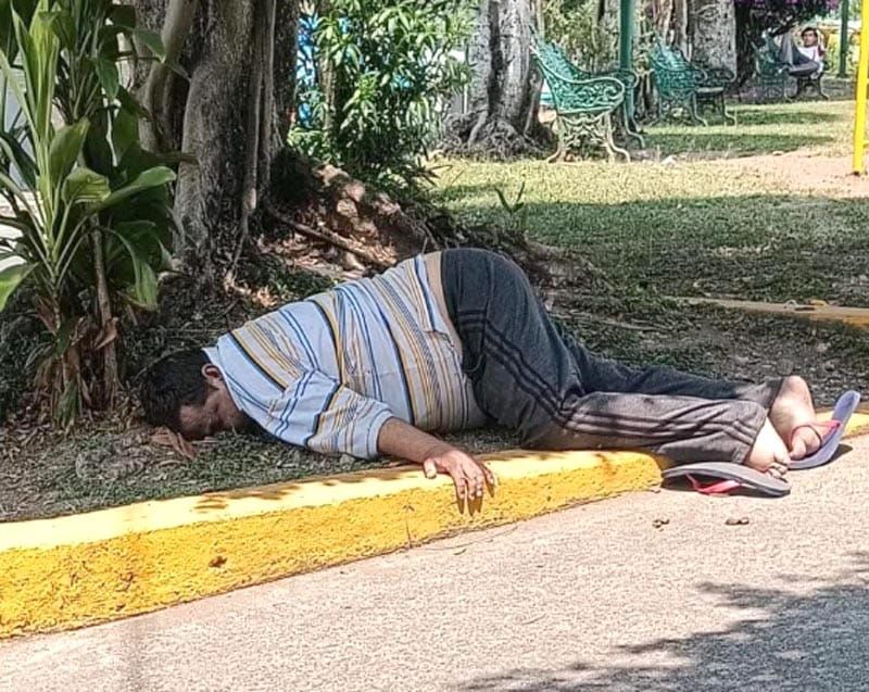 ¡PIERDE LA VIDA POR GOLPE DE CALOR!