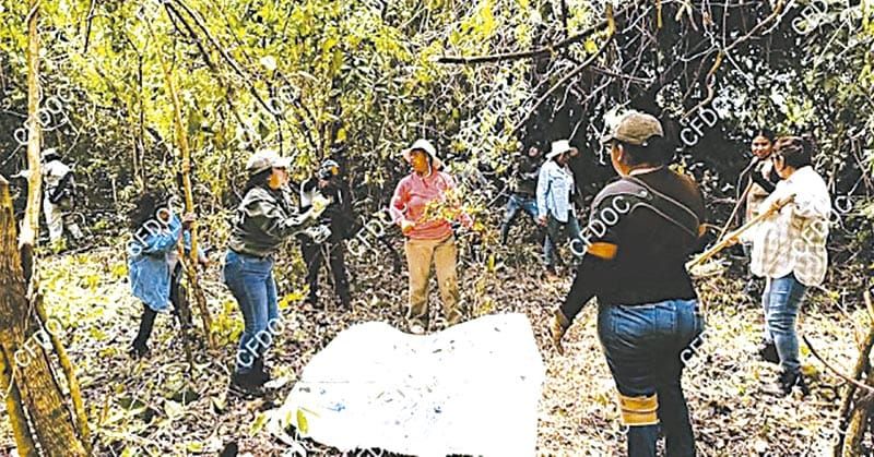¡TRES SEMANAS DE BÚSQUEDA: FAMILIAS DESAFÍAN LODO Y MIEDO EN VERACRUZ!