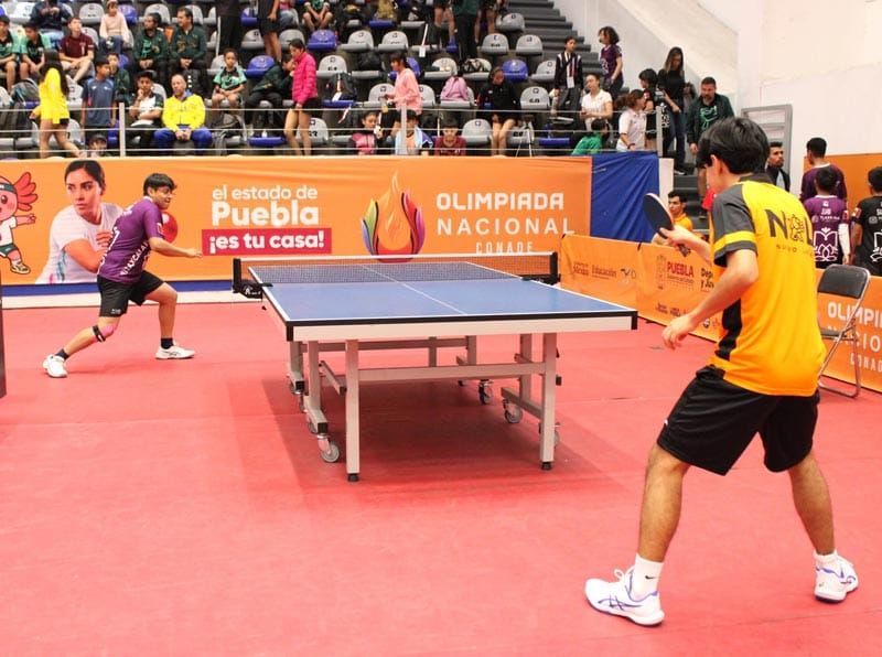 ¡OROS Y PLATA EN TENIS DE MESA!
