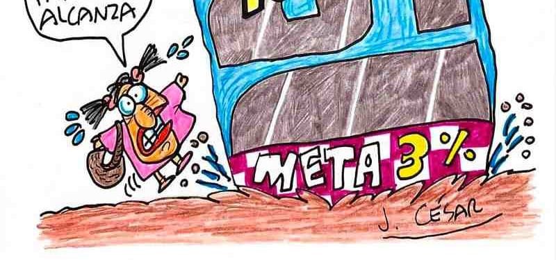 LOS CARTONES
