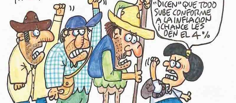 LOS CARTONES