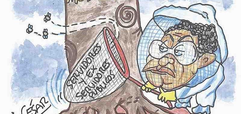 LOS CARTONES