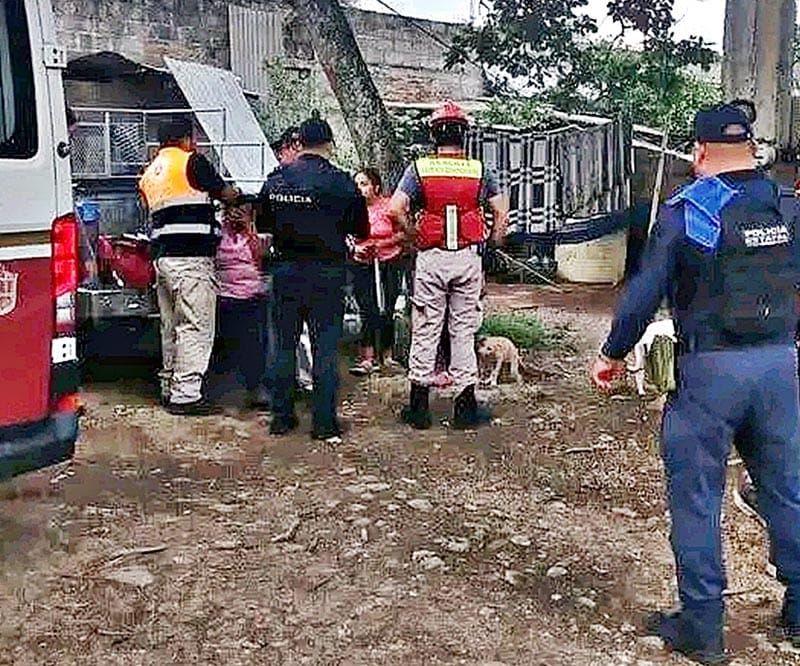 ¡YERNO BORRACHO NOQUEÓ A SU SUEGRA Y AL CUÑADO!