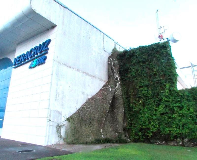 ¡COLAPSÓ RECUBRIMIENTO TIPO PASTO EN EL AEROPUERTO!