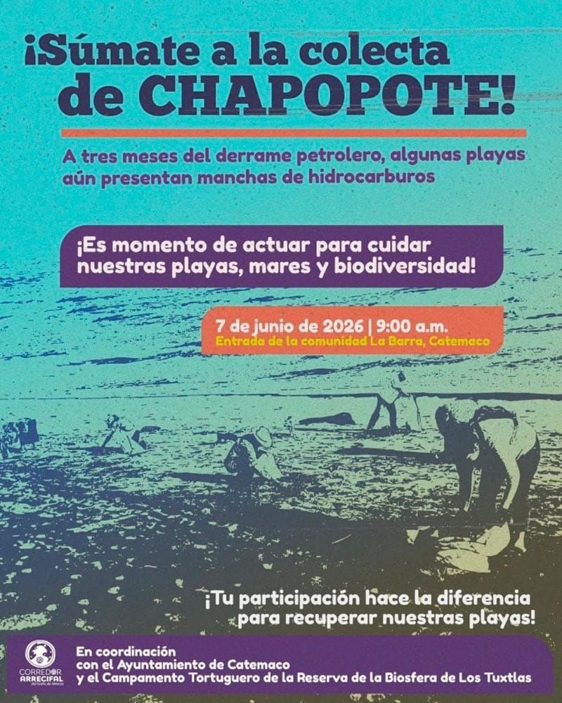 ¡HAY CHAPO EN PLAYAS DE CATEMACO! - *Convocan a limpiar las playas