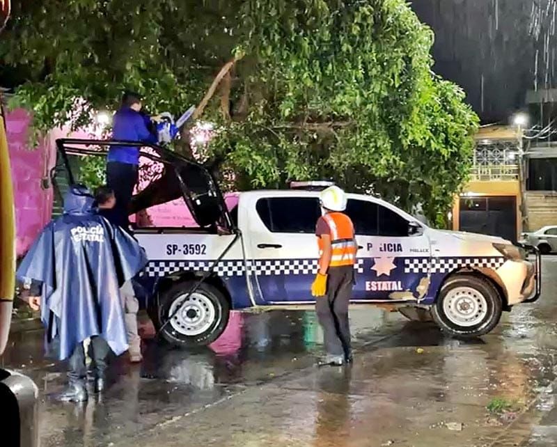 ¡ÁRBOL APLASTÓ LA PATRULLA!