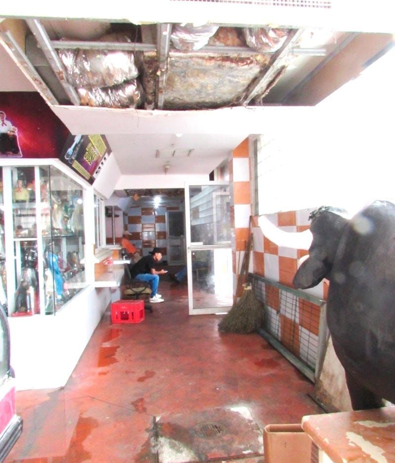 ¡COLAPSÓ PLAFÓN EN EL MERCADO HIDALGO!