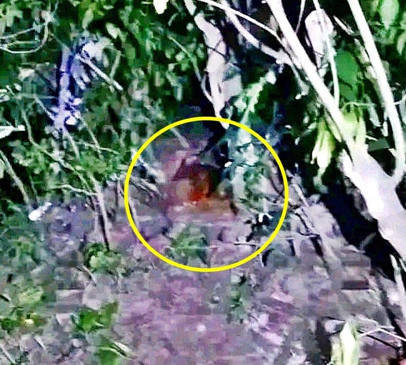 ¡LOCALIZAN CADÁVER FLOTANDO EN ARROYO EN CUITLÁHUAC!