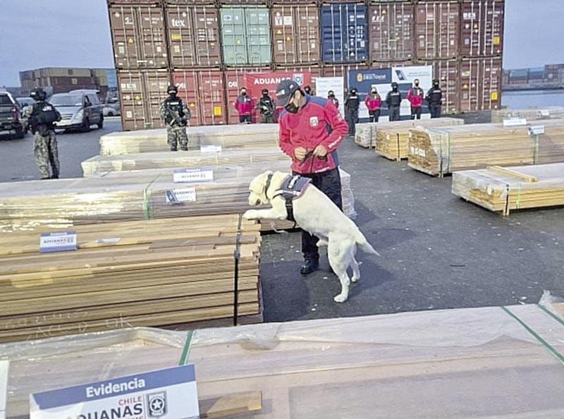 ¡DECOMISAN 108 TONELADAS DE DROGA EN PUERTOS DE CHILE! - ESCONDIDOS EN MADERA PARA EXPORTAR