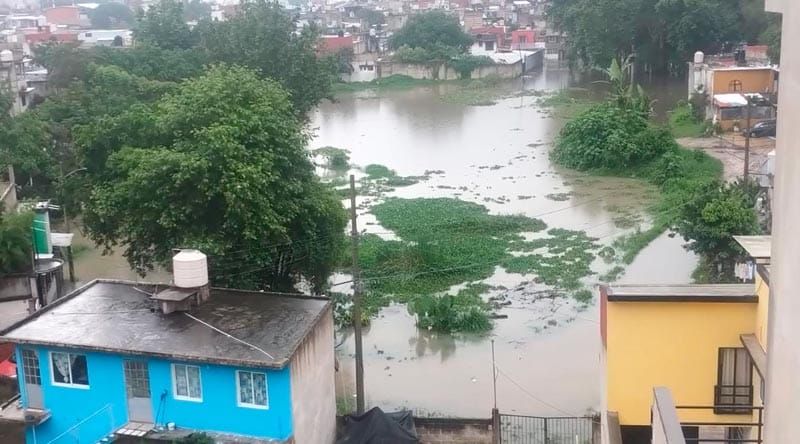 ¡LES ECHAN OJO! - POR LLUVIA ATIPICA...