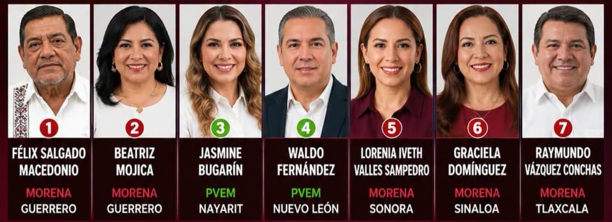 ¡REVISA PVEM LA LISTA DE LOS ASPIRANTES PARA GUBERNATURAS
