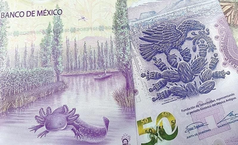 ¡AVALAN QUE PEQUEÑOS COMERCIOS RECIBAN DEPÓSITOS DE $132 MIL!
