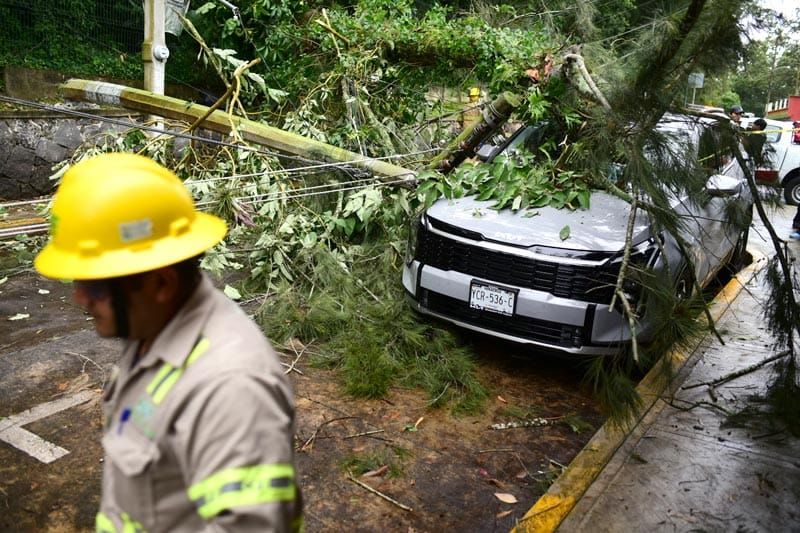 ¡ÁRBOL CAE SOBRE CAMIONETA Y DEJÓ SIN LUZ A COLONIA DE XALAPA!
