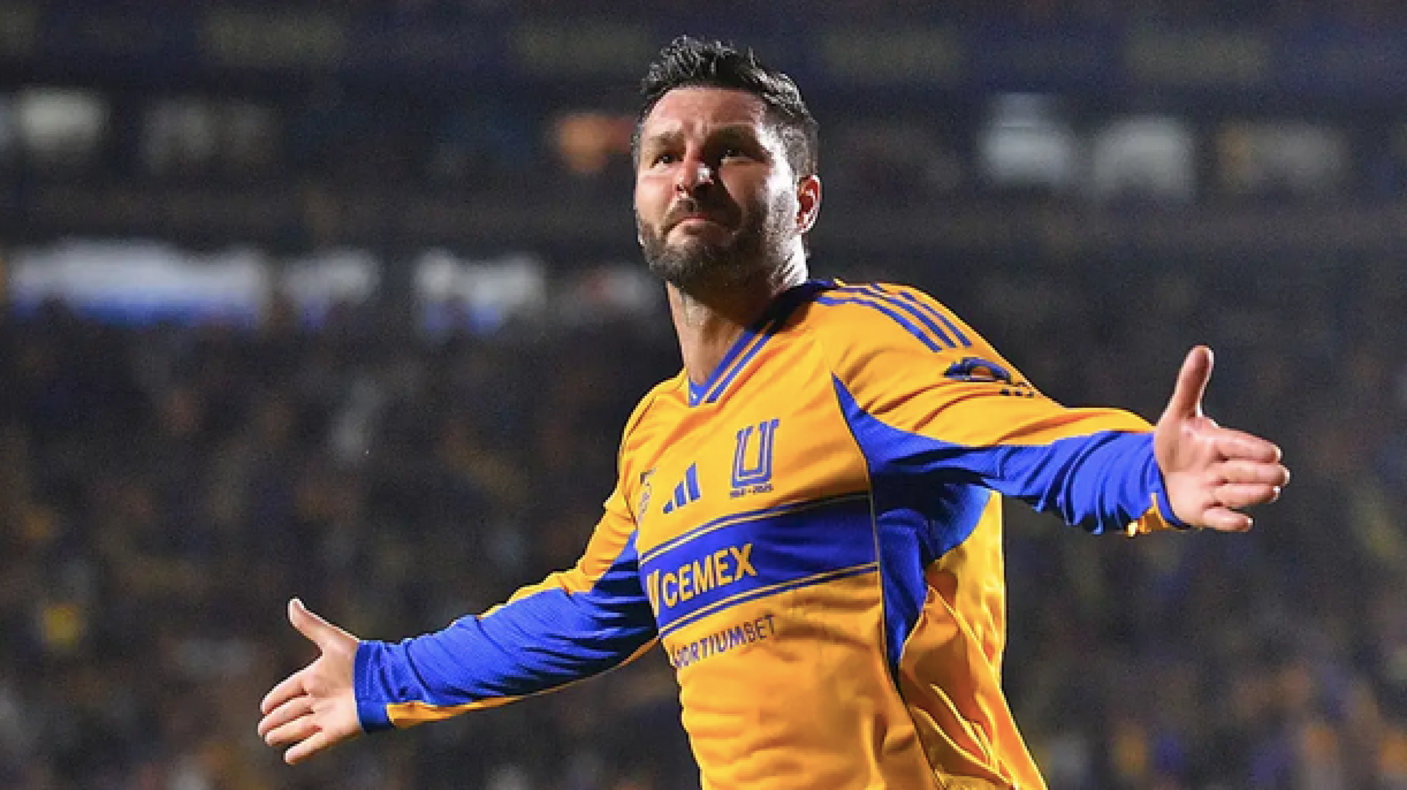 ¡TERMINA CICLO DE GIGNAC CON TIGRES!