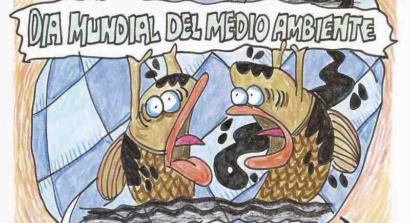 LOS CARTONES