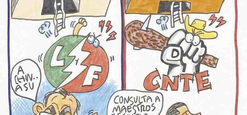 LOS CARTONES