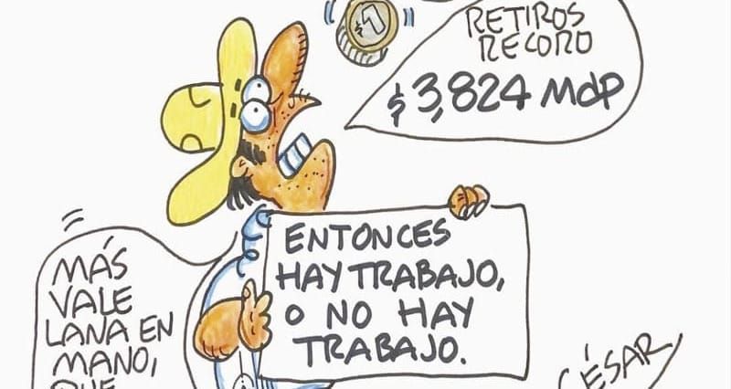 LOS CARTONES