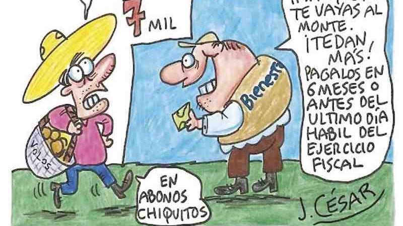 LOS CARTONES