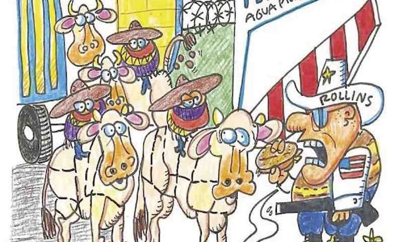LOS CARTONES