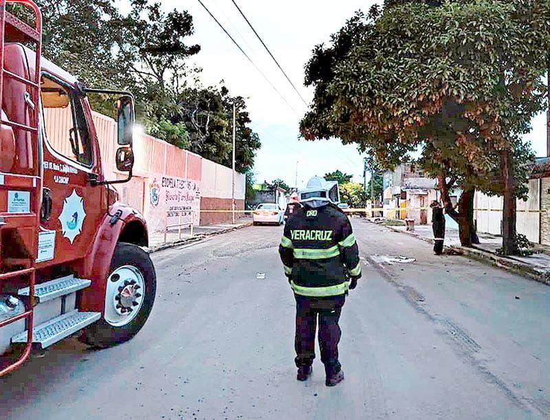 ¡TRES LESIONADOS POR ATAQUE DE ABEJAS EN LA COLONIA HIDALGO!