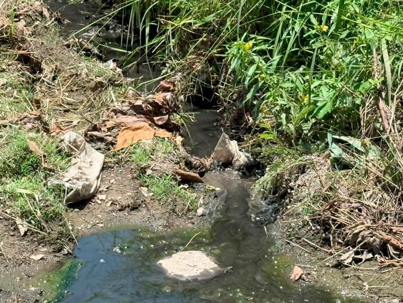 ¡VECINOS DE EL COYOL EXIGEN DRENAJE!