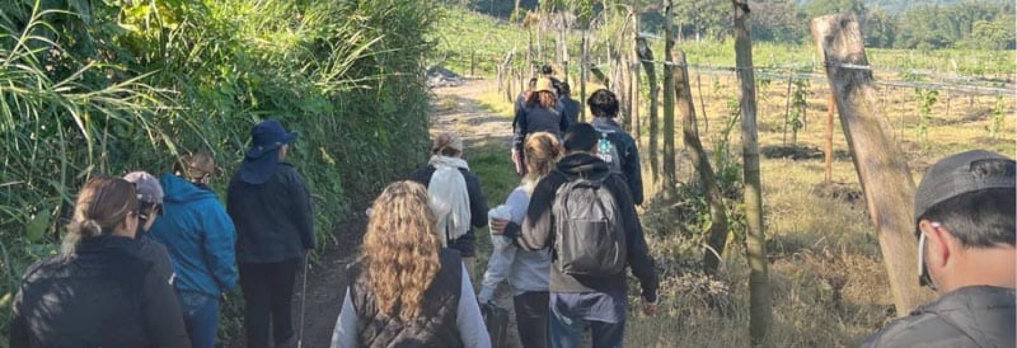 ¡BUSCAN CNB Y FAMILIARES DE DESAPARECIDOS FOSAS CLANDESTINAS EN VERACRUZ!