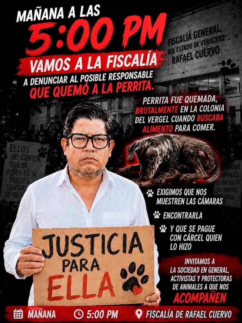 ¡QUEMAN PERRITA EN PUESTOS DE EL VERGEL! - *Denunciarán al agresor