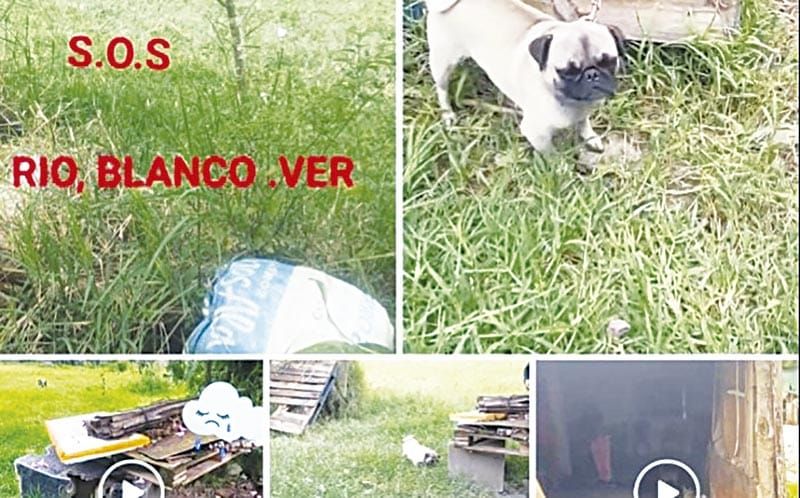 ¡FAMILIA DENUNCIA A ACTIVISTA POR ALLANAMIENTO Y HOSTIGAMIENTO EN RÍO BLANCO!