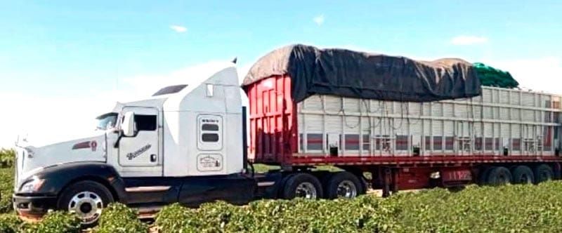 ¡CAEN TRES ASALTA TRÁILERS EN PEROTE!