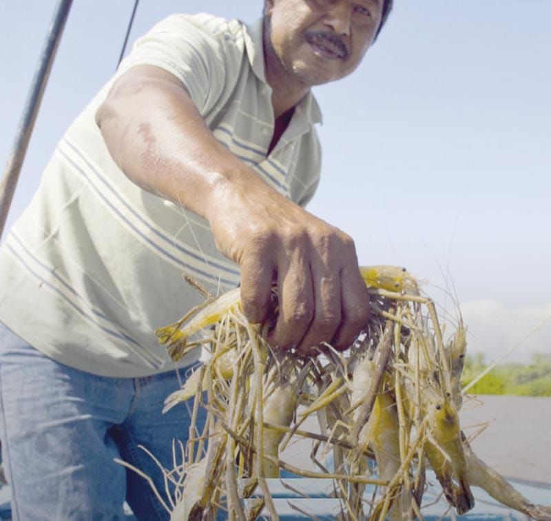 ¡GRAVARÍAN A MARISCOS POR TRABAJO FORZOSO!