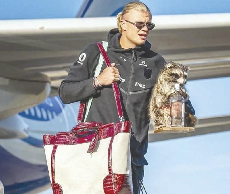 ATERRIZA HAALAND EN OSLO TRAS EL MUNDIAL ¡CON UN MAPACHE!