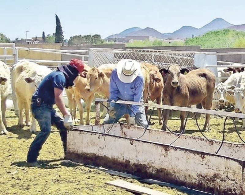 ¡EXIGE UNIÓN GANADERA CERRAR FRONTERA SUR!
