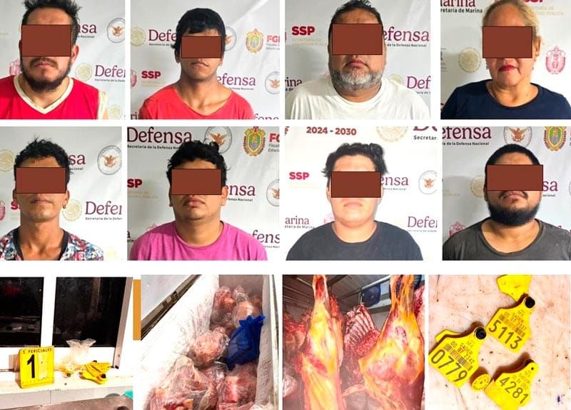 ¡DESMANTELAN BANDA DE ROBA VACAS EN CARDEL!
