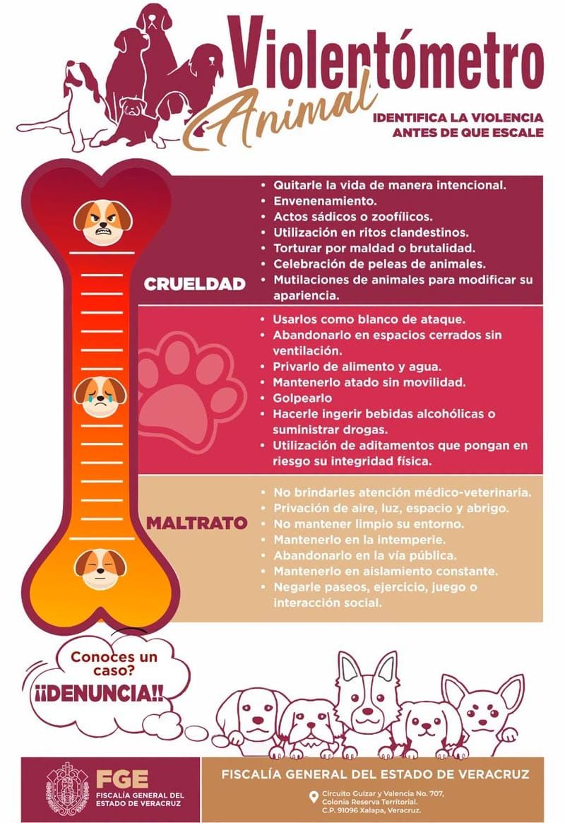 ¡SACAN VIOLENTÓMETRO! - *Incluye multas y penas de cárcel, va en serio