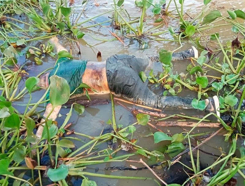 ¡APARECE FLOTANDO EN EL RÍO PAPALOAPAN!