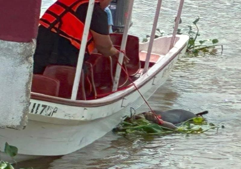 ¡EL CUERPO QUE FLOTABA EN EL RÍO COATZACOALCOS ES DEL JOVEN BRYAN ALEXANDER DE 18 AÑOS!