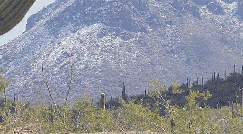 ¡RECUPERAN EN ARIZONA MÁS DE 2 MIL CADÁVERES DE MEXICANOS!