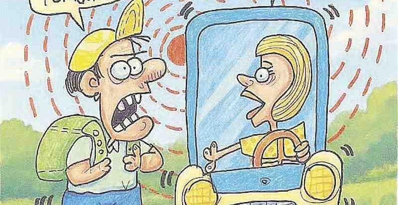 LOS CARTONES