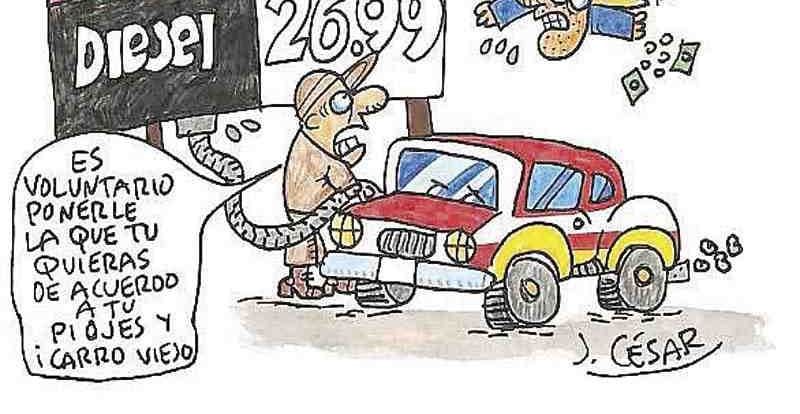 LOS CARTONES