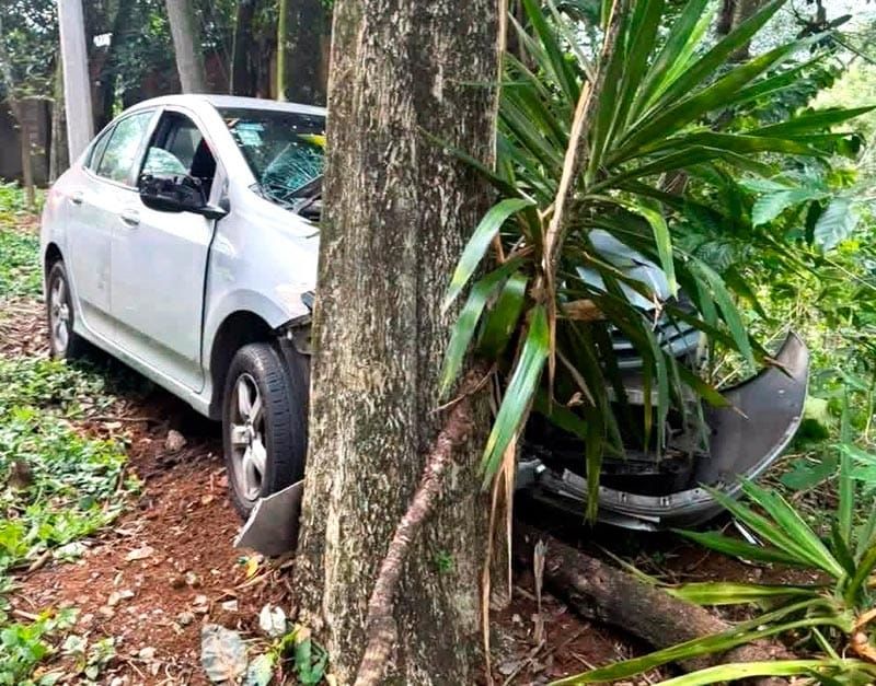 ¡PIERDEN LA VIDA MUJER Y SU PERRO ARROLLADOS EN FORTÍN!